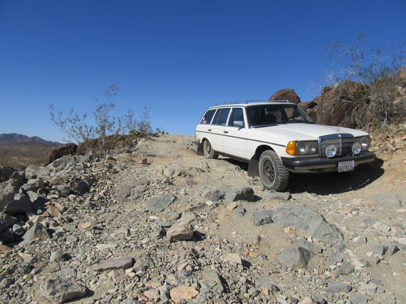 Manfred’s first trip to Joshua Valley National Park.